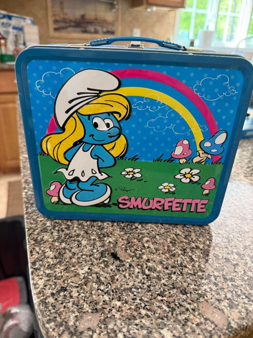 THE SMURFS SMURFETTE METAL LUNCH BOX 2010